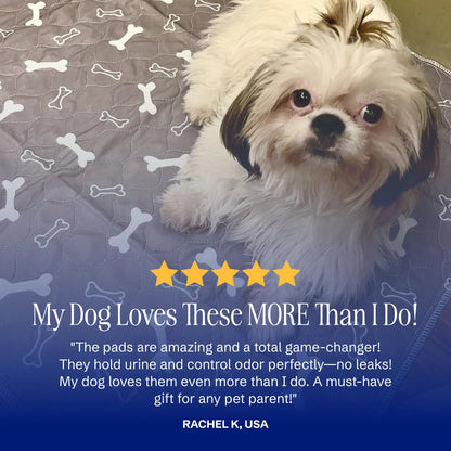 Tiktrove pet pee pad