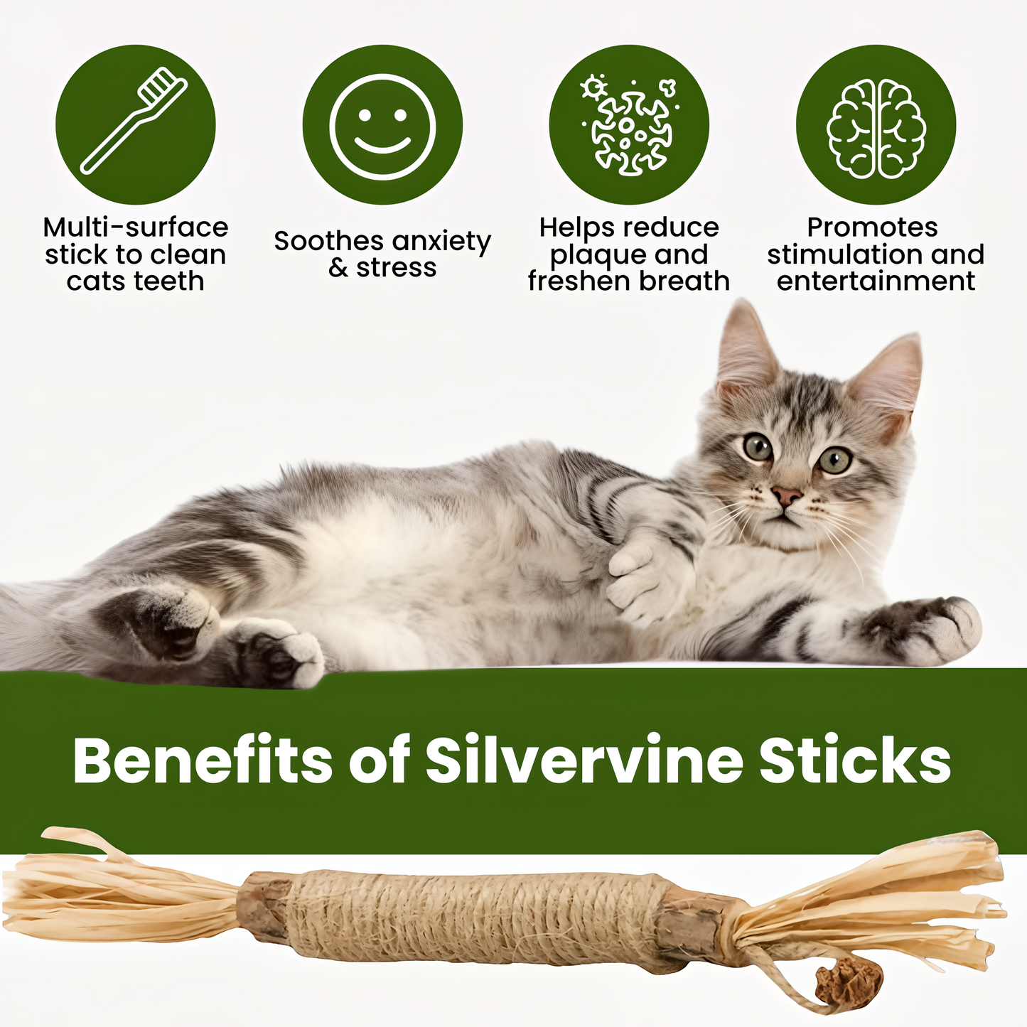 Tiktrove Natural Silvervine Dental Sticks