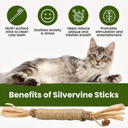 Tiktrove Natural Silvervine Dental Sticks