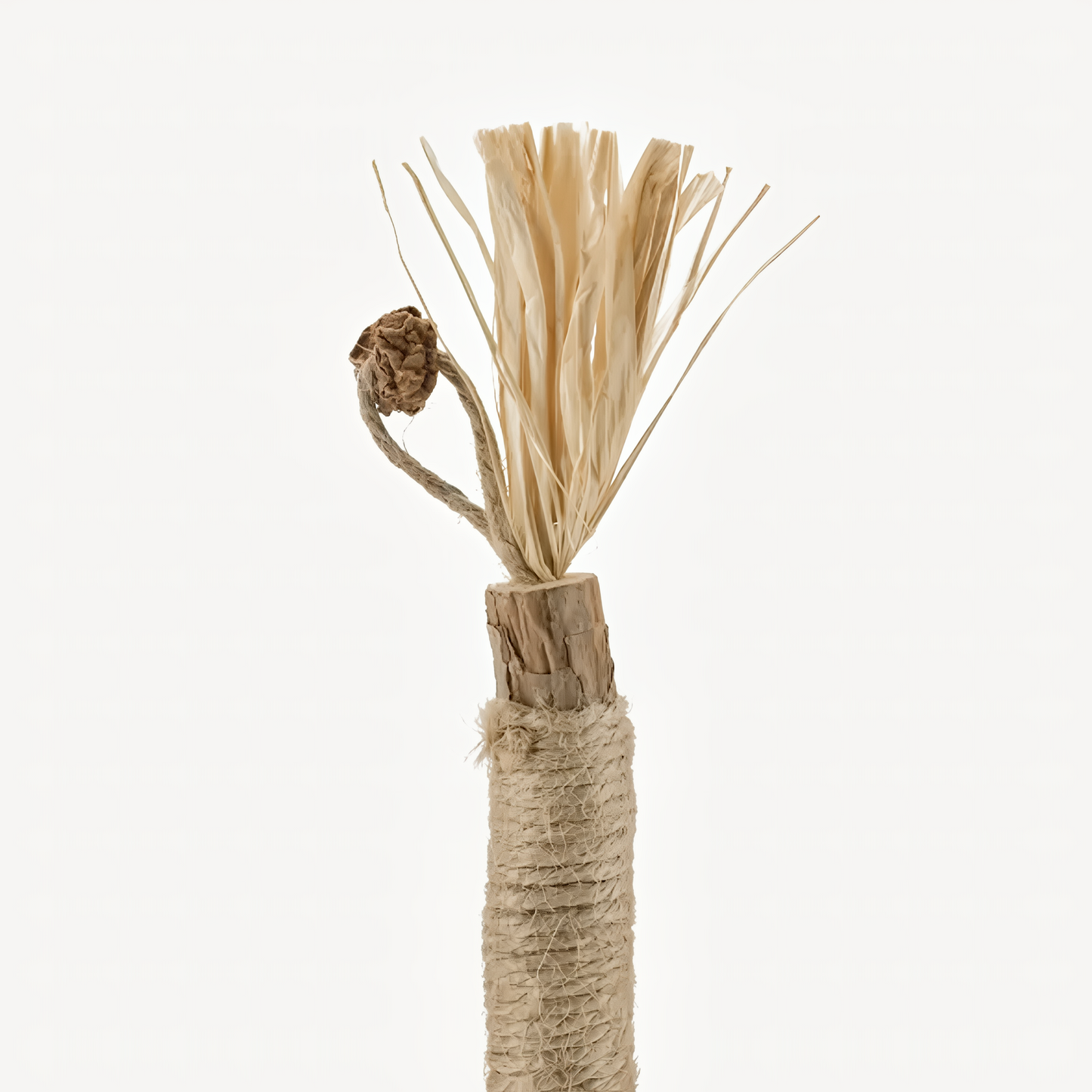 Tiktrove Natural Silvervine Dental Sticks