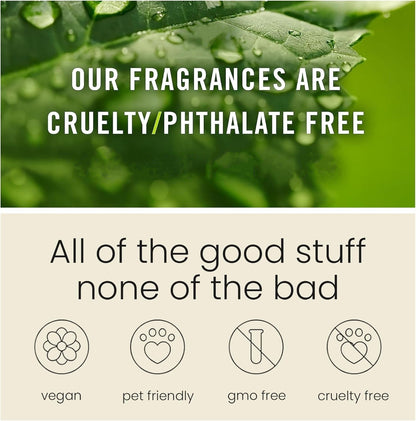 🍃Scented Car Air Freshener