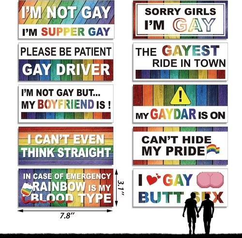10 Pcs Funny LGBT Stickers Set🌈