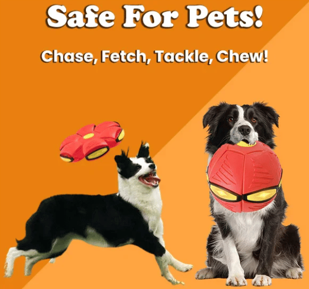 🏆Flash Sale⚡ 50K+ SOLD! Almost Gone-💥💥The Doggy Disc Ball💞,Best Gifts