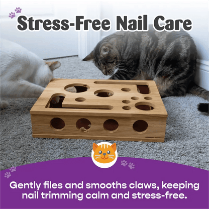 🎁🎄Cat Scratch Puzzle Enrichment Box