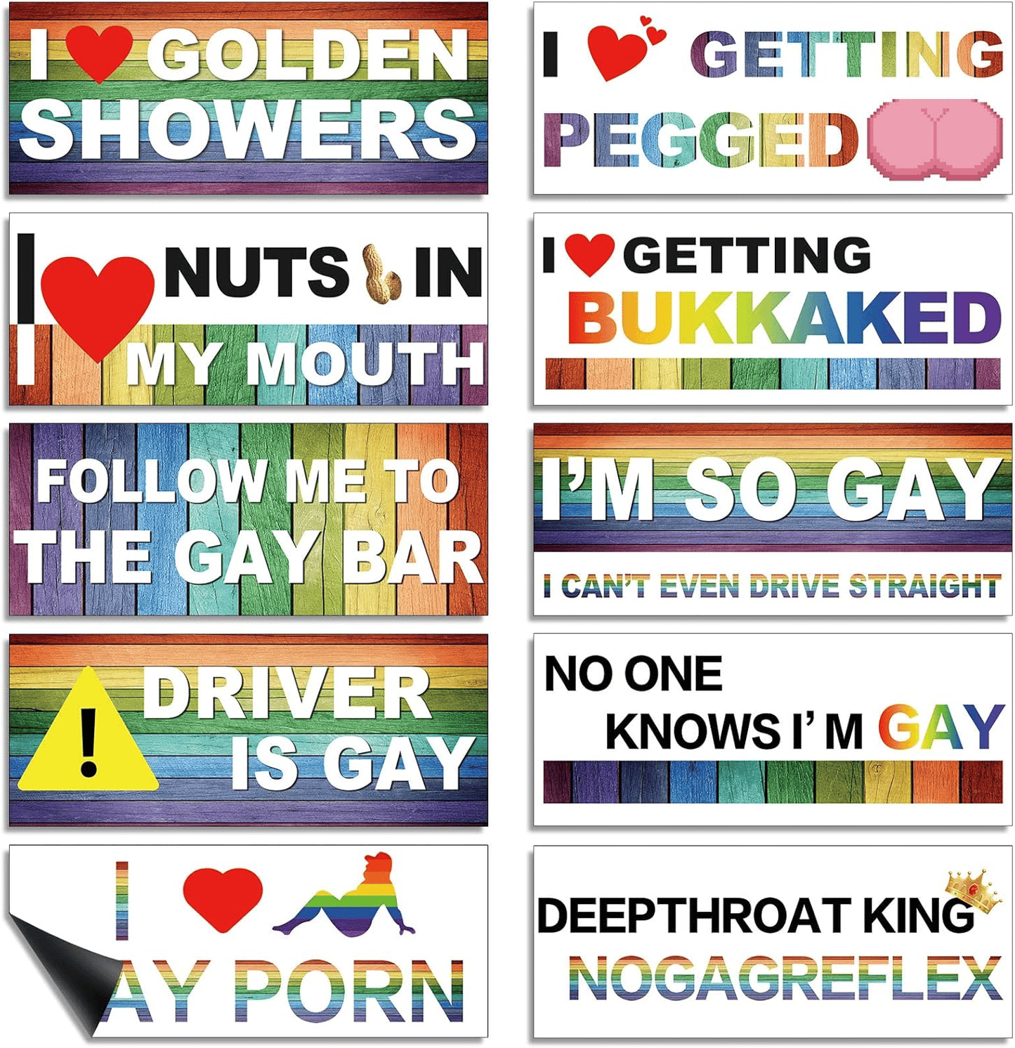 10 Pcs Funny LGBT Stickers Set🌈