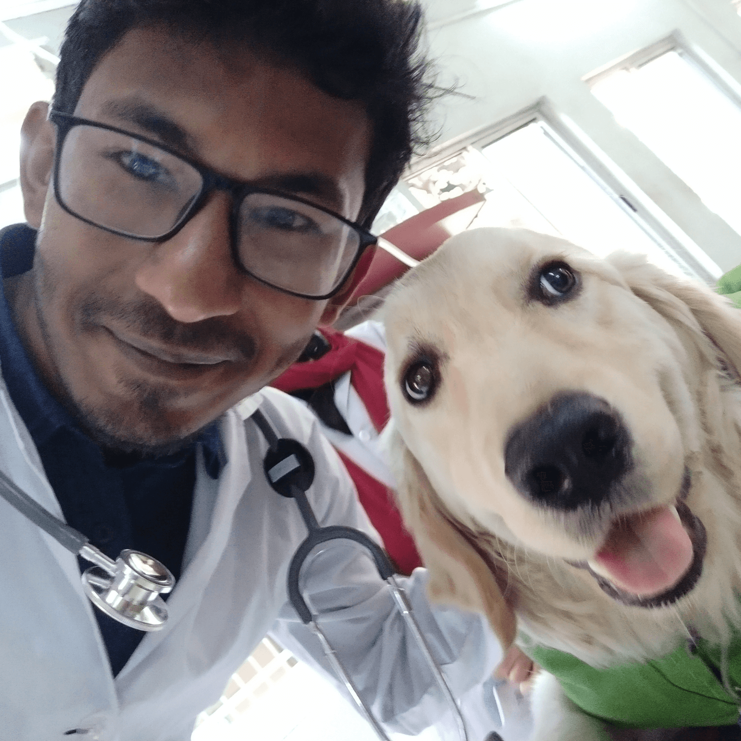 files/furlife_doc_1.png