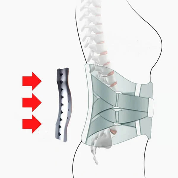 🔥Hot Sale - 49% OFF🔥 Tiktrove - Orthopedic Support Belt with Magnets