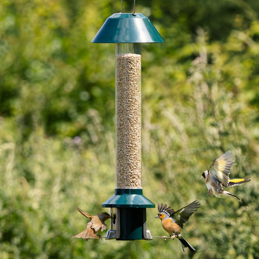 Tiktrove PestOff Squirrel Proof Bird Feeder 2.0
