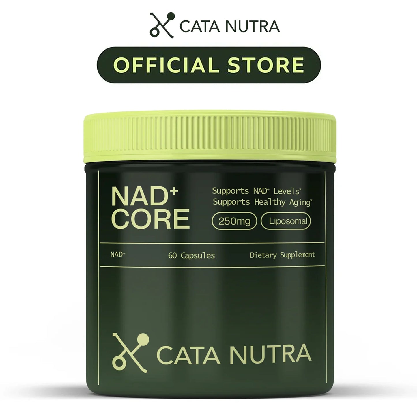 NAD+ Nicotinamide Riboside