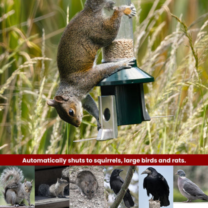 Tiktrove PestOff Squirrel Proof Bird Feeder 2.0