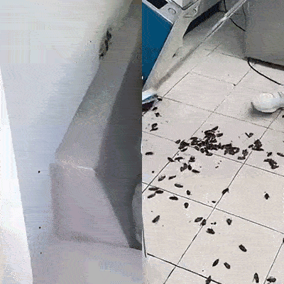 pt-f5592d42140b-e8f0e1db22f5a6b72327d365e95746a662d6c04f.gif