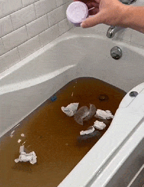 pt-f93316125216-w500.gif