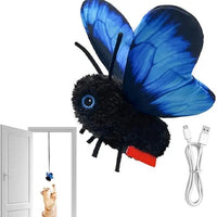 blue（Flapping-Wing-NonFly）