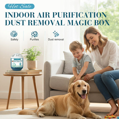 🔥⏰Indoor Air Purification Dust Removal Magic Box🏠Bringing health to the family.👵👶