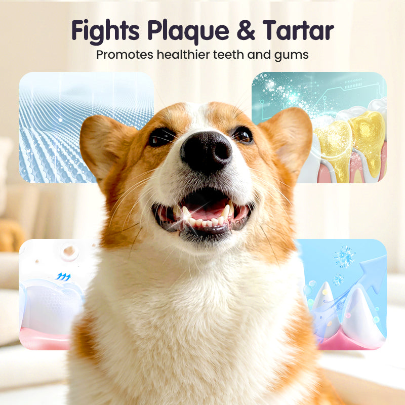 🔥Teeth Cleaning Spray for Pets