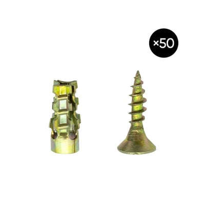 Hinge Repair Screw & Expansion Anchor